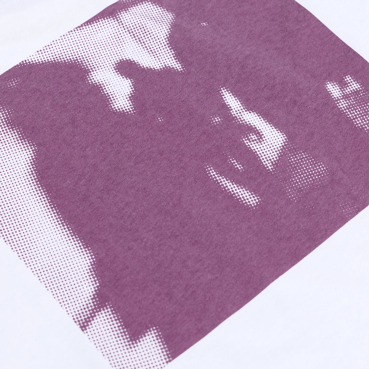 Polar Tee | SOTS White