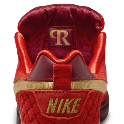 Nike SB P-Rod 1 ASW QS