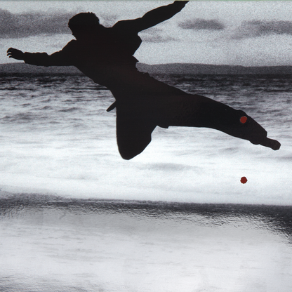 Polar Jamie Platt Jump: 8.5