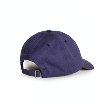 Polar Sai Cap College Logo: Navy