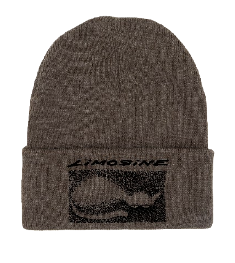 Limosine Cat Beanie Assorted Colors