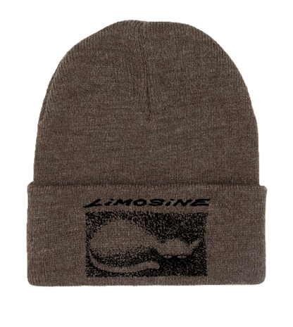 Limosine Cat Beanie Assorted Colors