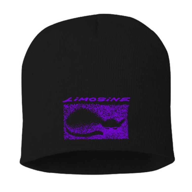 Limosine Cat Beanie Assorted Colors
